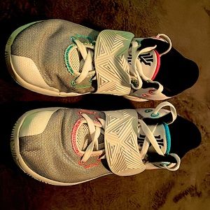 Kyrie fly traps, sightly used.